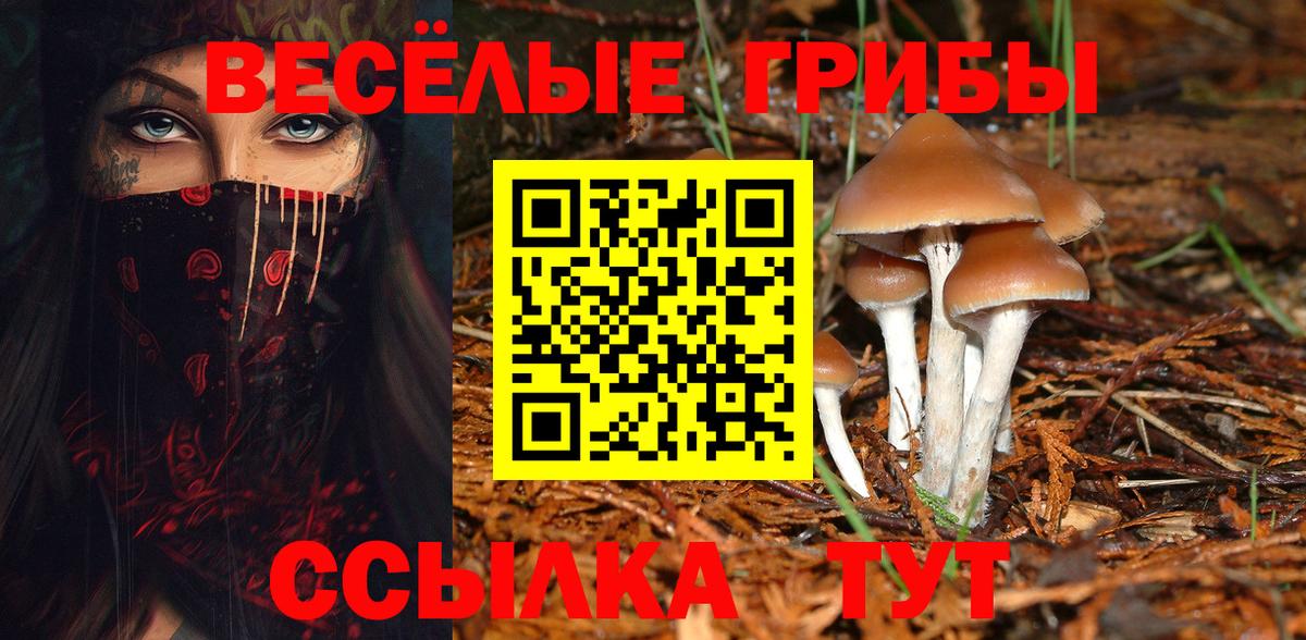 Галлюциногенные грибы прущие грибы Шадринск