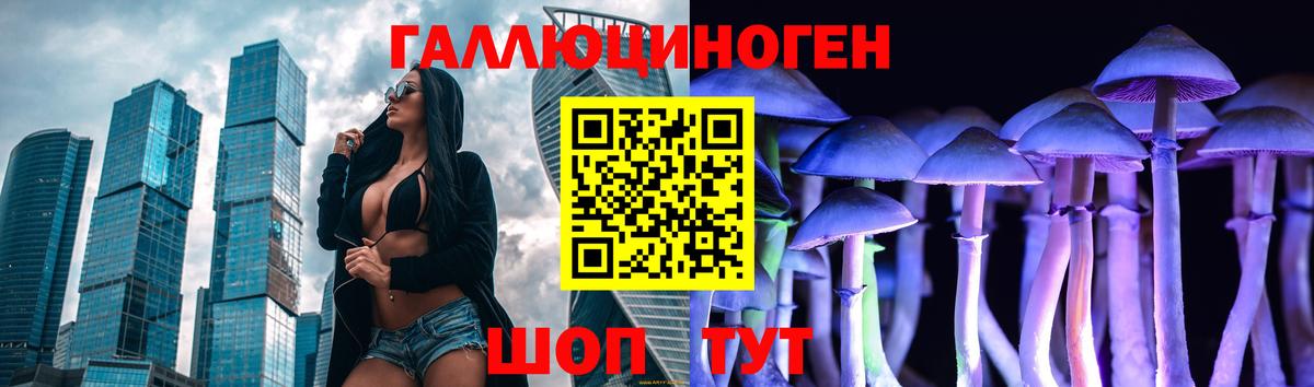 Псилоцибиновые грибы Cubensis  Вход с VPN  Шадринск 