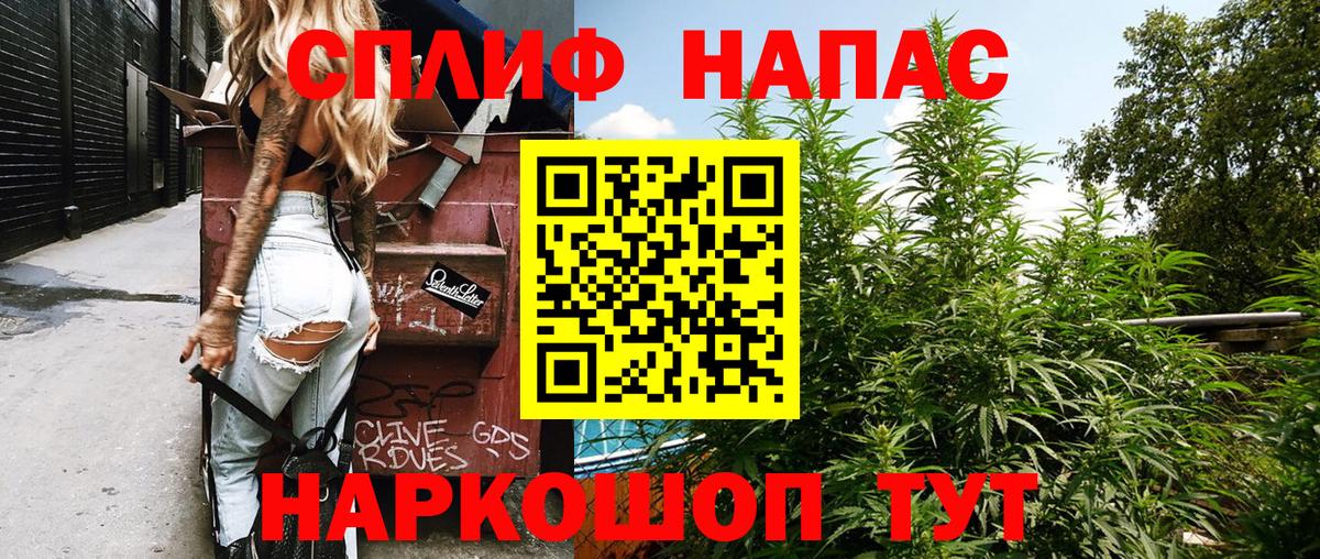Бошки марихуана ГИДРОПОН Шадринск